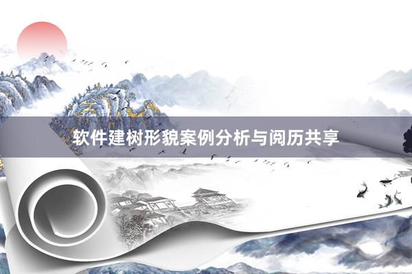软件建树形貌案例分析与阅历共享